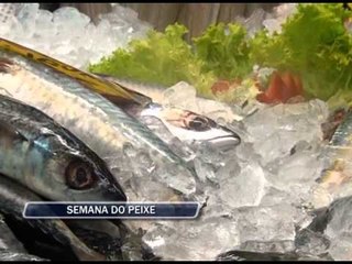 17-09-2013 - SEMANA DO PEIXE - ZOOM TV JORNAL