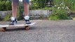 Beginner Skateboarding Tricks : Pop Shuvit Tutorial