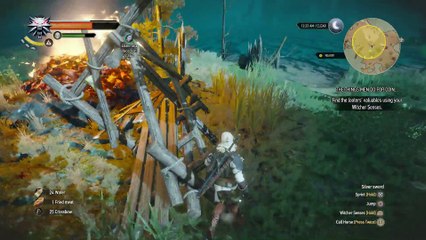 WITCHER 3 DEATH MARCH! WALKTHROUGH 73 - THE THINGS MEN DO FOR COIN