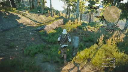 WITCHER 3 DEATH MARCH! WALKTHROUGH 76 - FISTS OF FURY VELEN