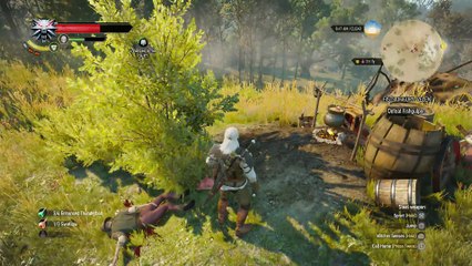 WITCHER 3 DEATH MARCH! WALKTHROUGH 77 - CONTRACT THE MERRY WIDOW