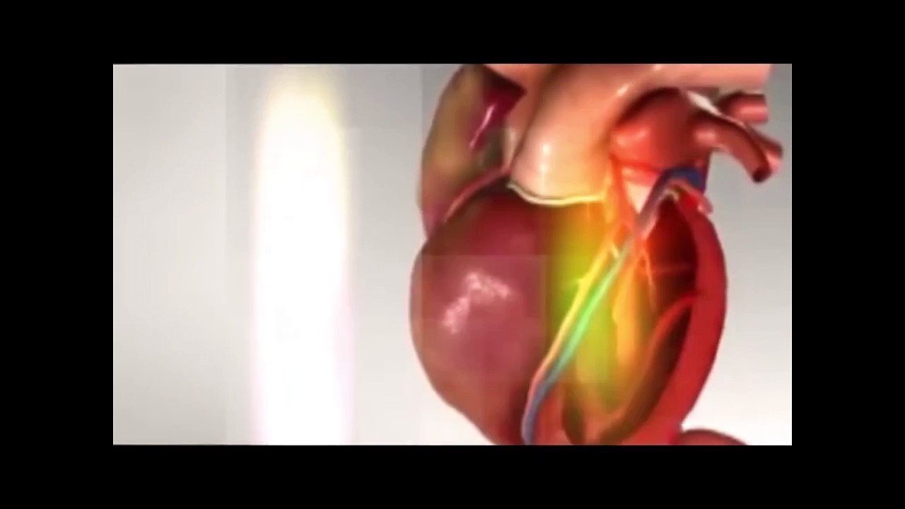 Bawaseer-Piles-  Treatment-Prevention-Dr NA Mazhar (Dr alternative medicine)