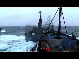 Japon balina gemisi çevrecilerin teknesiyle böyle çarpıştı