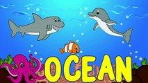 Ocean Animals for Kids - Sea Animal Songs for Children - Learning to Spell - Toddlers Preschool