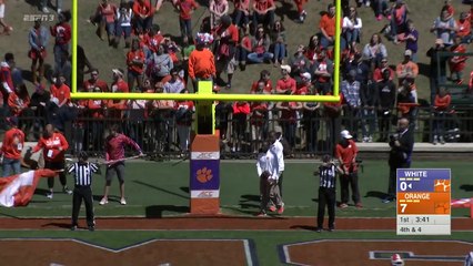 Clemson Football -- 2016 Spring Game Highlights