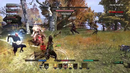 The Elder Scrolls Online: 4v??