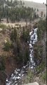 Yellowstone Waterfall