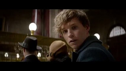 Fantastic Beasts and Where to Find Them Official Teaser Trailer #1 (2016) - Movie HD
