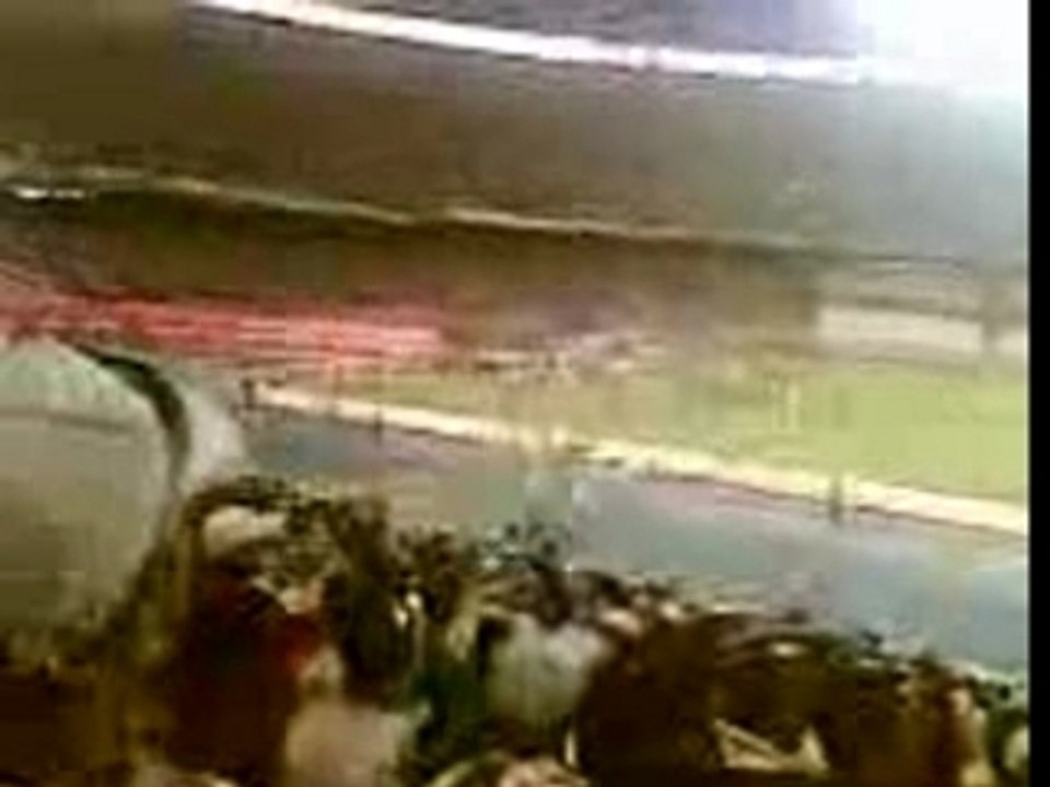 algerie suporteur