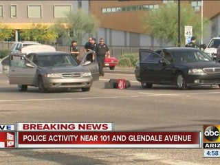 Home Burglars Caught in the Act