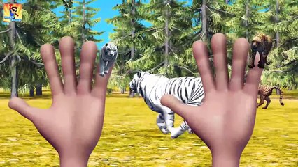 Finger Family Collection | Top Animals Cartoons Vs Finger Family Battles