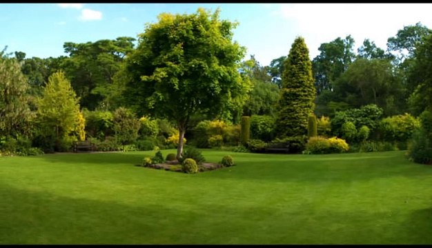 Carolina Tree Service - (336) 986-1619