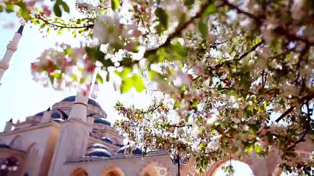 رحمن رحمن - مشاري راشد العفاسي Mishari Rashid Al Afasy - Rahman