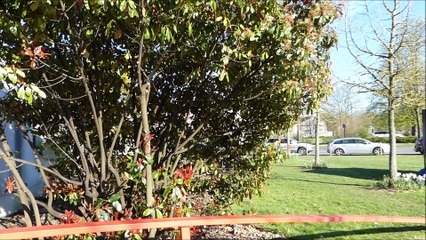 Entrée et Allée 1 - Festival Animalier Valenciennes 8 & 9 Avril 2016