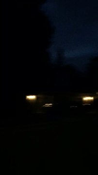 Un perroquet chante i believe i can touch the sky dans la nature de nuit