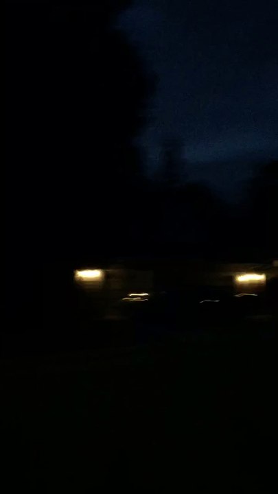 Un perroquet chante "i believe i can touch the sky" dans la nature de nuit