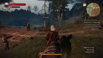 The Witcher 3: Wild Hunt awesome finishing kill
