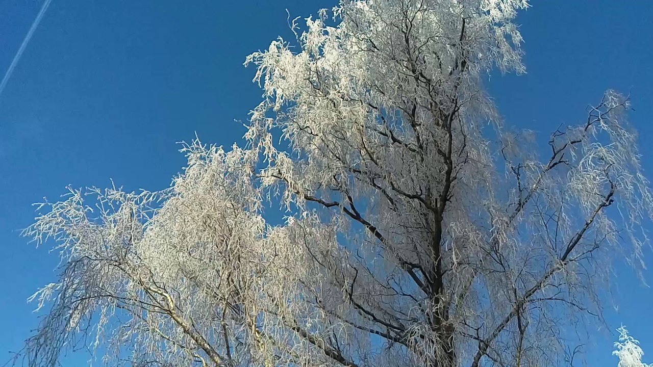 white snow