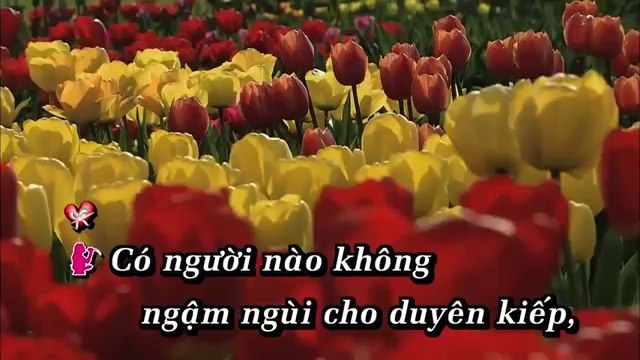 Karaoke Chuyện Tình Hoa Pense Giao Linh Tuấn Vũ Beat Chuẩn