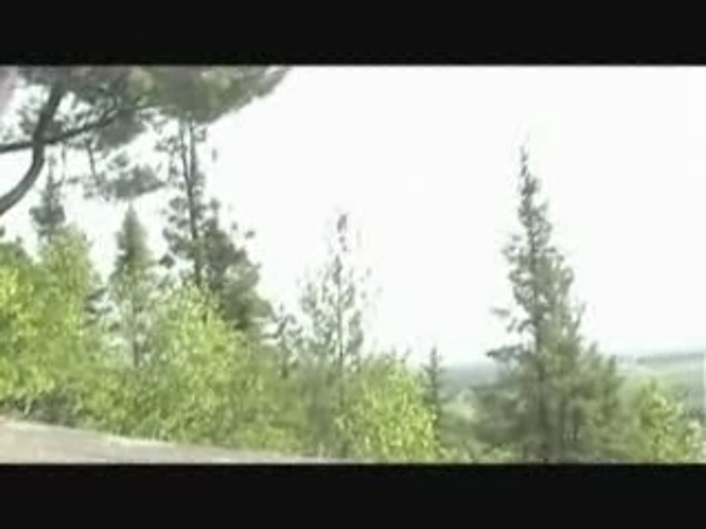 THE RACE