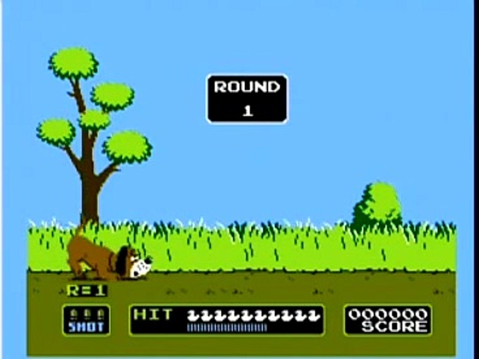 Duck Hunt - NES