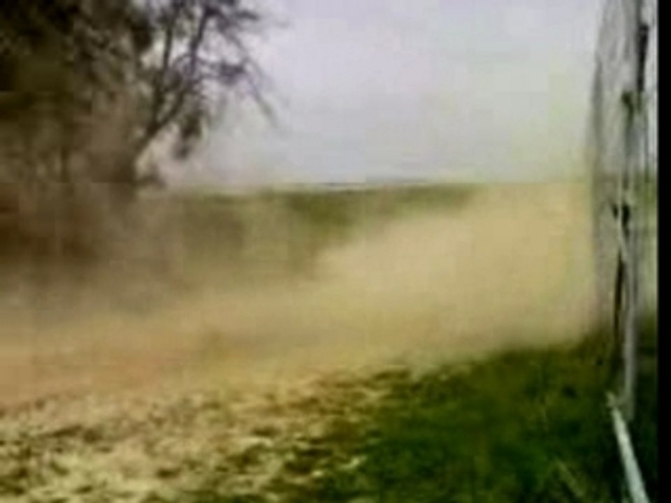 proxi buggy
