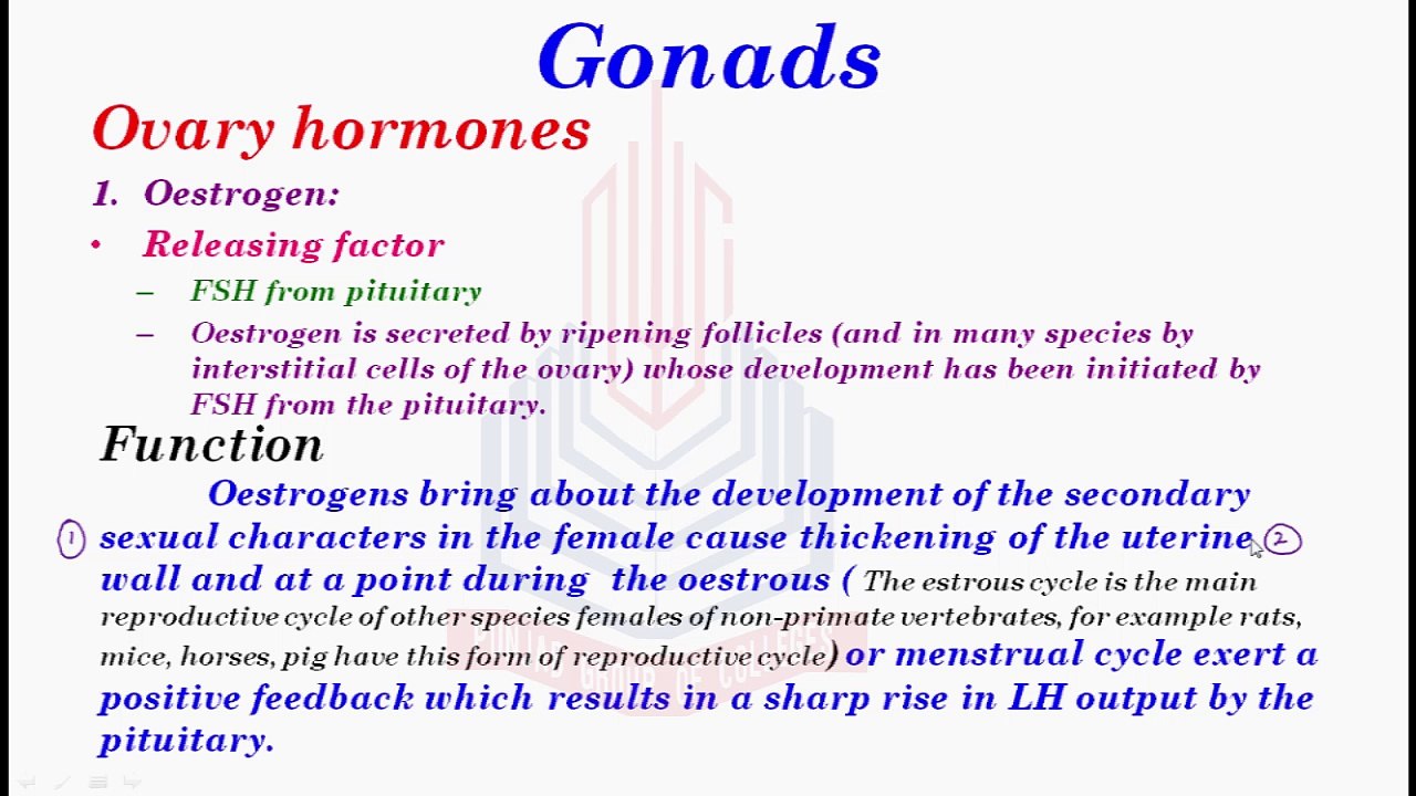 Gonads ( Ovarian Hormones : Oestrogen and  Progesterone )