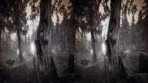 CARDBOARD 3D SBS Vanishing of Ethan Carter - The Forest of Ashes (3D TV GEAR VR OCULUS RIFT)