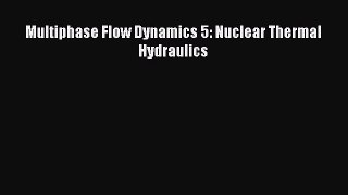 Read Multiphase Flow Dynamics 5: Nuclear Thermal Hydraulics Ebook Free