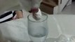 Ce chat a une jolie technique pour boire dans un verre