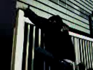 Jumping pour cobra only