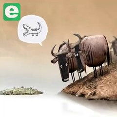 Most Funny Video|Educational Video for All|Children Best Funny and learning video cartoons