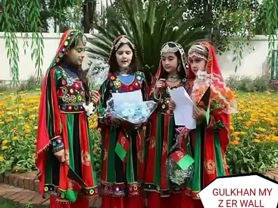 GULKHAN MYZ ER WALL