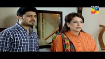 Lagao Episode 25 Full Hum TV Drama 11 April 2016