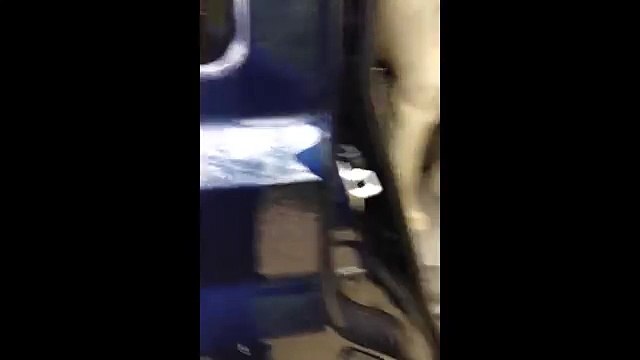 E' anziano e non riesce a scendere dalla macchina ma all'improvviso arriva qualcuno...