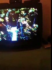 Baby Einstein Baby da Vinci Part 1 of 3