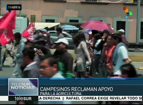 México: campesinos marchan para exigir apoyo al sector agrario