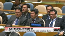N. Korean foreign minister to sign climate deal at UN next week
