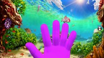 Finger Family Song | Sea Animals Sharks Dolphins Octopus Whales Finger Family Nursery Rhymes