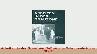 PDF  Arbeiten in der Grauzone Informelle Oekonomie in der Stadt Ebook