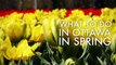 Spring Experiences | Ottawa Tourism