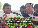 Akhilesh Yadav lays foundation stone of perfume hub in Kannauj