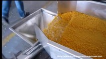 Corn flakes & Rice flakes making machine  Capacity of processing nearly any starchy materials