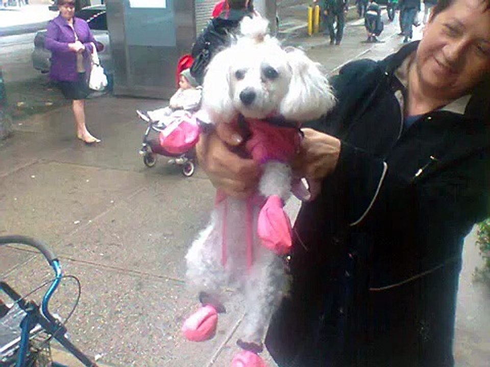 ITALIAN MUSIC 3 - UHAO - Yahoo