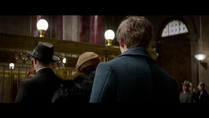 Fantastic Beasts and Where to Find Them Official Teaser Trailer #1 (2016) - Movie HD