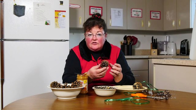 Python Ulti-Vac Pond Aquarium Maintenance