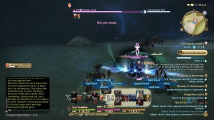 Final Fantasy XIV - A Journey to Remember