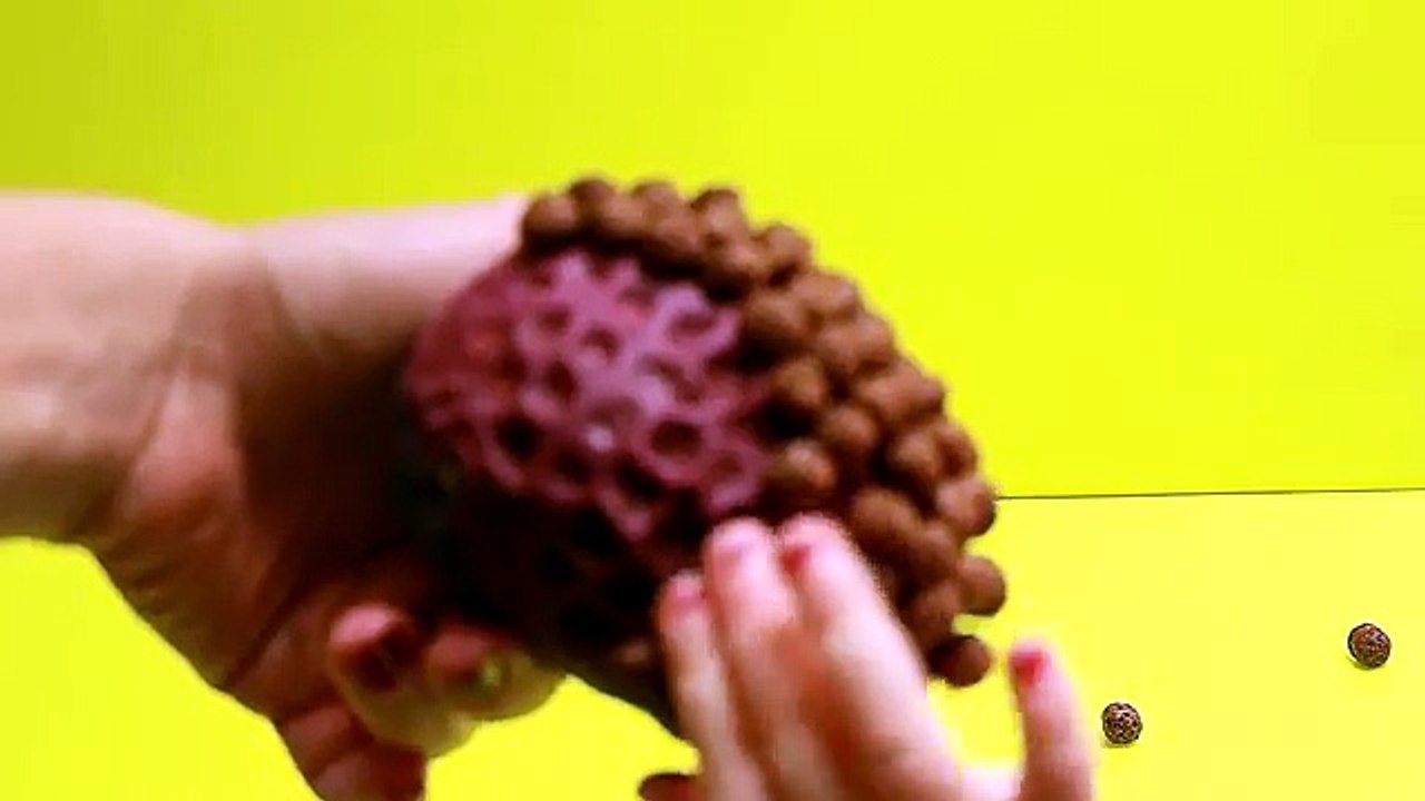 ЯЙЦО ИЗ ПЛАСТИЛИНА И ШОКО ШАРИКОВ PLAY DOH SURPRISE EGGS  橡皮蛋