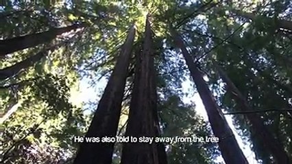 'You Made Me Sin!' ᴴᴰ [Ustadh Gabriel Al Romaani] - The Daily Reminder