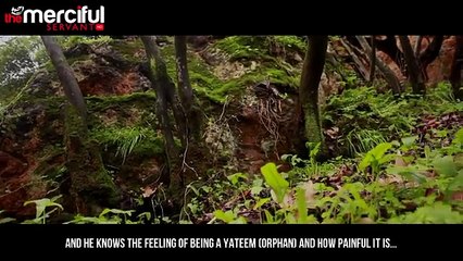 A Tree In Paradise - True Story - Merciful Servant Videos